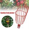 Fruit Picker Head Metal Deep Basket Without Pole Fruit Collector Harvest Picking Apple Citrus Pear Farm Garden Catcher Device