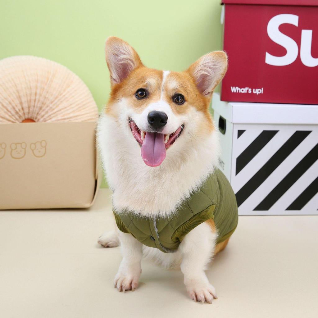 Corgi Dachshund Argyle Coat: Autumn/Winter Cotton Clothing for Short-Leg Dogs