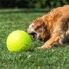 Köpek – Köpek oyuncakları
