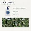 L'Occitane Shea Butter Body Lotion