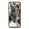 Cartoon Fun Cat Pet Dog Case For Samsung A54 A52 A24 A14 A50 A70 A10 A30 A40 A20S A20E A06 A12 A22 A34 A42 A32 5G A04s A16 Cover