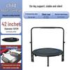 Binnenshuis Fitness Trampoline voor Kinderen & Volwassenen - Springbed met Veren