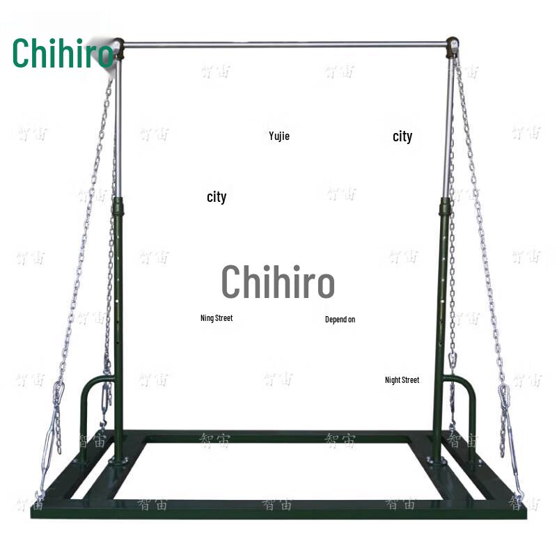 Zhinian Professional Fitness Training Bars