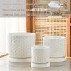 Creative Honeycomb Succulent Planter Set