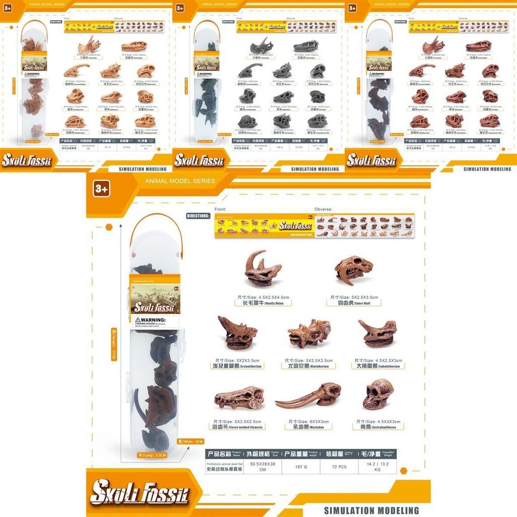 Authentic Pvc Dinosaur Skull Model Collection Ideal For Children's Room Decor