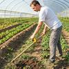 Back-Saving Garden Tool Handle Labor-Saving Ergonomic Grip Handle Attachment for Shovels Rakes Hoes Spades Long-Handle Yard Lawns Tools