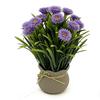 Nordic Daisy Artificial Potted Plant for Office and Home Decor