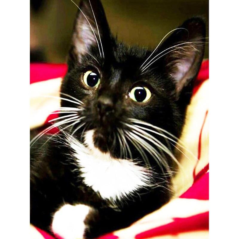 5D DIY Diamond Painting Tabby Cat Art Diamond Embroidery Rhinestones Decorations for Home