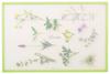 Pearl Metal Light and Cutting Board L Herb Story G Dishwasher Safe Licute Made In Japan Non-Slip C-1242