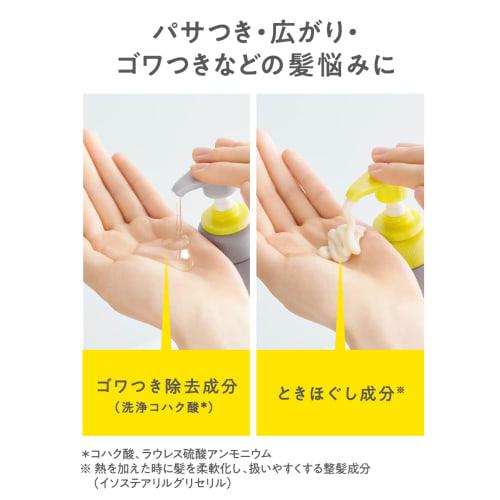 Flat Essential Flat Volume Reducing Shampoo for Curly Hair, Wavy Hair, Hair Ends That Do Not Spread Easily, Straight Hair, Combination of Stiffness Re