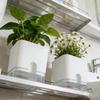 Weißer Selbstbewässernder Pflanztopf Quadratisch Doppellagiger Blumentopf für Haus Innen- und Außenbalkon Gartenpflanzen Dekoration Blumentopf