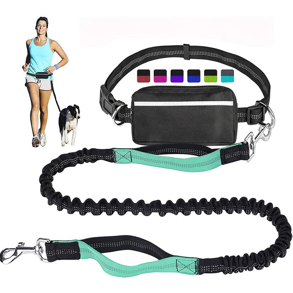 dog leash bag