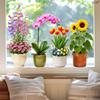 Sunflower Tulip Potted Plant Window Stickers, Static Cling Glass Decals for Door Window Decoration