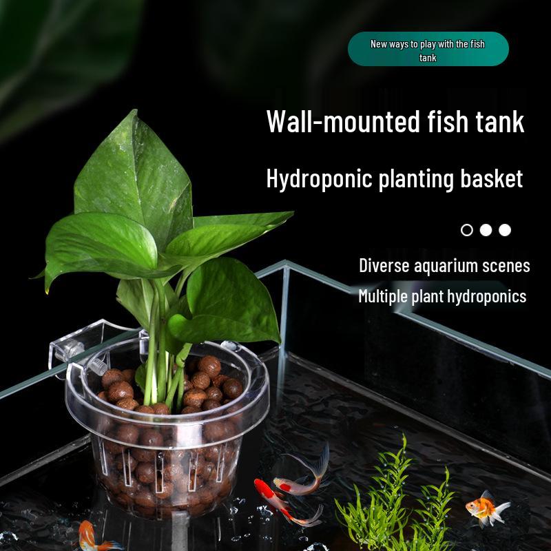Wall-Mounted Aquarium Plant Basket for Hydroponics and Aquascaping