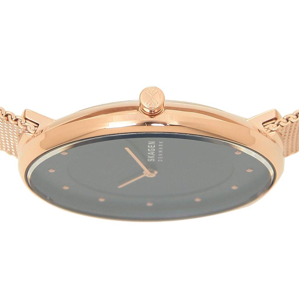 Skagen Women's Watch SKW2811 Rose Gold Navy [Parallel Import]