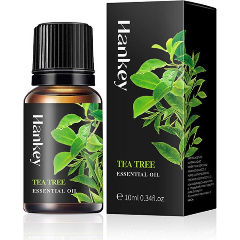 Aromatherapy Essential Oil 10ml Lemon Eucalyptus Lavender Eucalyptus Jasmine Rose Mint Orange Aroma Essential Oil