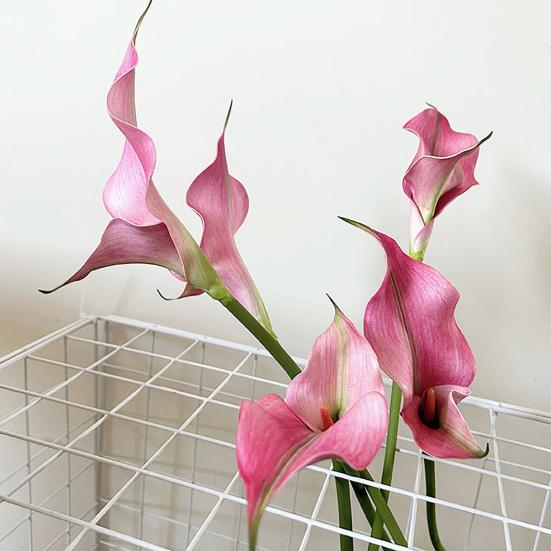 Künstliche Calla-Lilie Realistischer Falscher Blumenstiel Zuhause Büro Hochzeitsparty Innen Außen Kunstblüte Mittelstück Dekoration