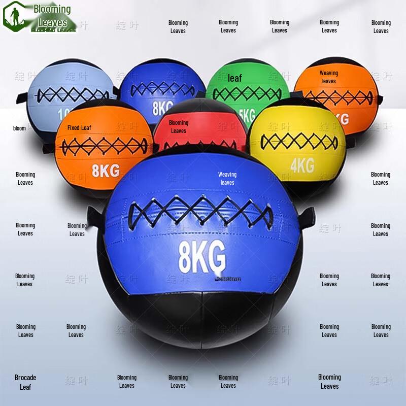 Zhan Ye Soft Medicine Ball