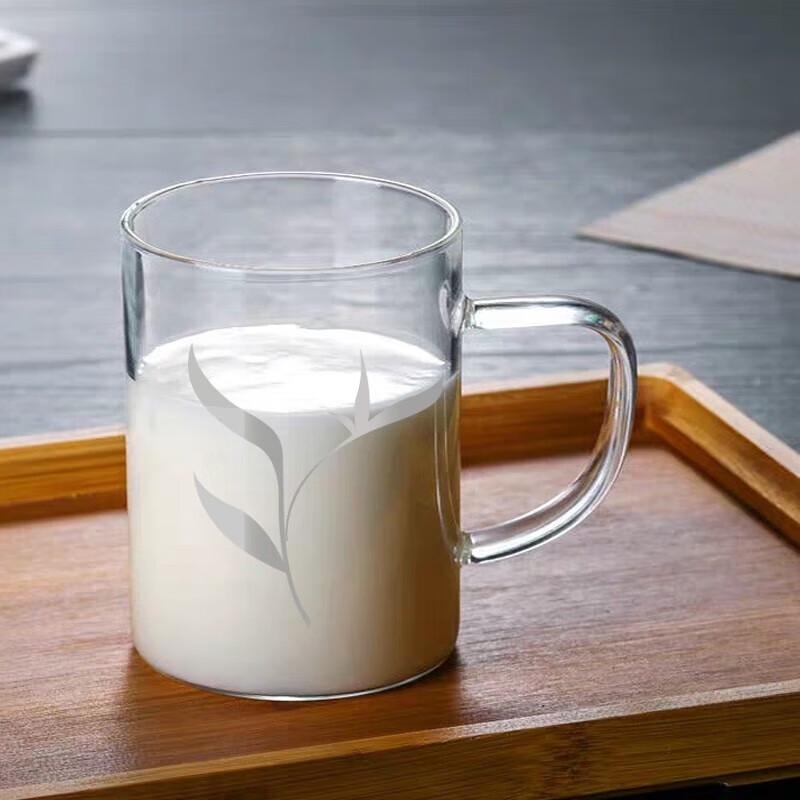 Sohome 500ml Heat-Resistant Glass Mug with Bamboo Lid