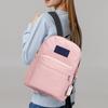 Backpack Large Capacity School Bag Backpack Computer Bag Male And Female Students  Solid Color Campus Travel Waterproof