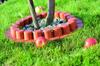 Garden Palisade with IPAL7 Collar | Terracotta