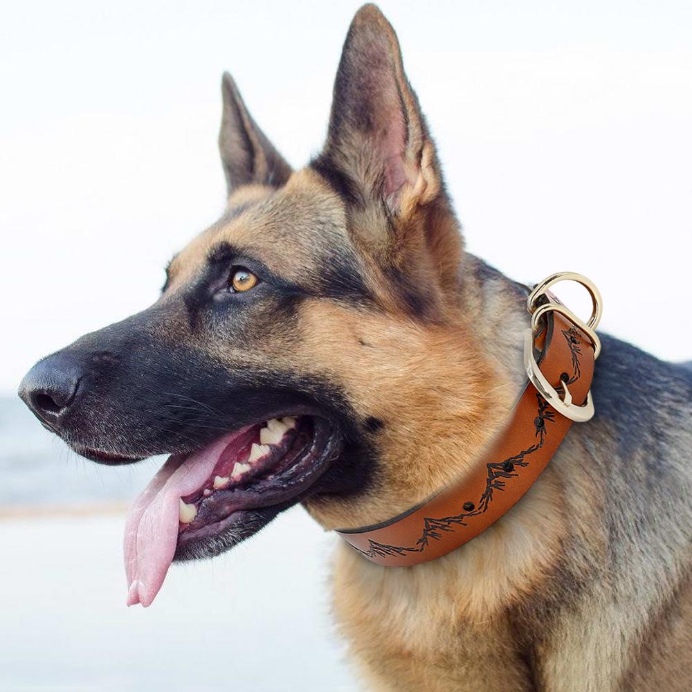 Leather Dog Collar Genuine Leather Pet Dog Collars Pitbull German Shepherd Collar Neck Buckle for Small Medium Large Dogs