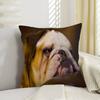 Anime French Bulldogs Lucky Dragon Pillow Cover Sofa Cushion Cover Home Room Decoration Children Gift