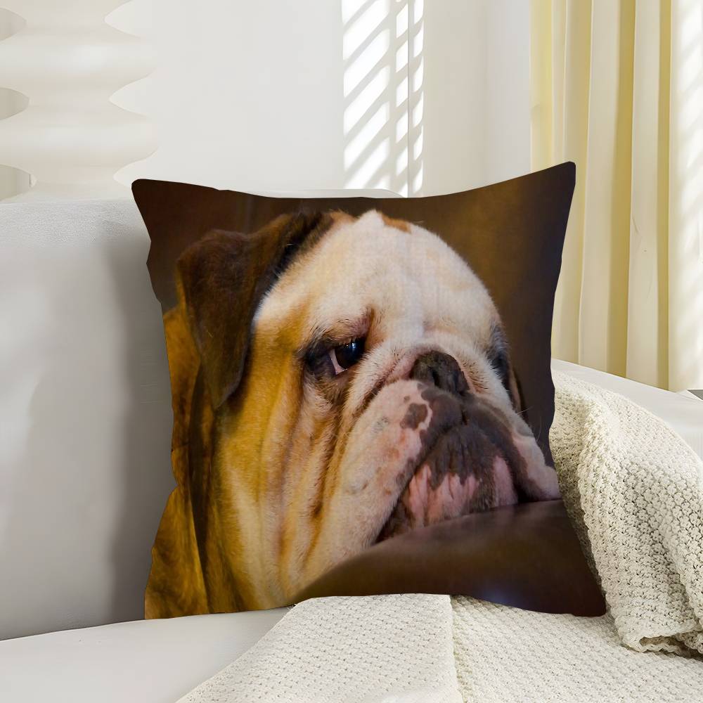 Anime French Bulldogs Lucky Dragon Pillow Cover Sofa Cushion Cover Home Room Decoration Children Gift