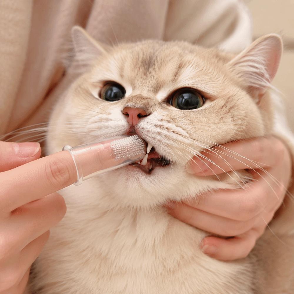 5/10pcs Ultra-Soft Cat Silicone Toothbrush Remove Bad Breath Dog Toothbrush Oral Cavity Cleaning
