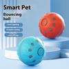 Automatic Bouncing Rolling Toy Ball Smart Interactive Dog Toy Ball Electronic Pet Toy Ball USB With RGB Lights Puppy Cat Product
