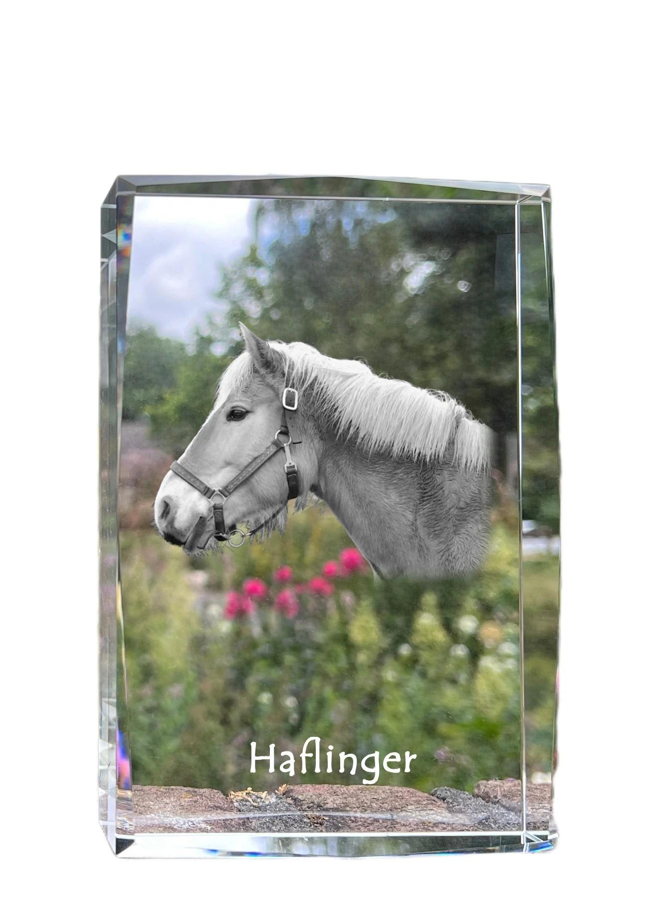 

Haflinger - crystal with a picture of a horse, photo in glass, modern exhibition of Art-Dog brand photo прозорий