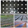 Vegetable Greenhouse Plants Grow Garden Supplies Mulch Film Perforated Film Agriculture Supplies