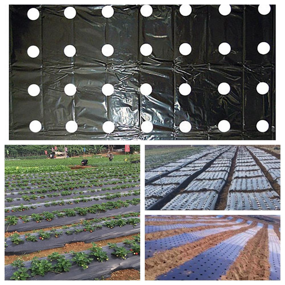 Vegetable Greenhouse Plants Grow Garden Supplies Mulch Film Perforated Film Agriculture Supplies