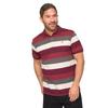 Bewley & Ritch Mens Hadley Striped Polo Shirt