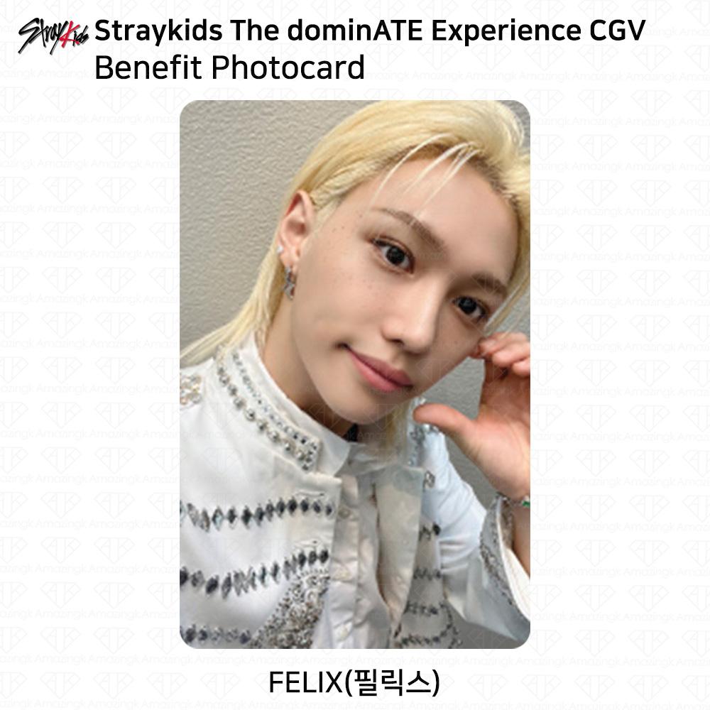 Stray Kids Die DominATE Experience CGV Vorteil Fotokarte SKZ KPOP K-POP