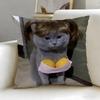 Double Sided Funny Cat Meme Throw Pillow Cover, Soft Short Plush Polyester Cushion for Sofa Bedroom Home Decor Gift