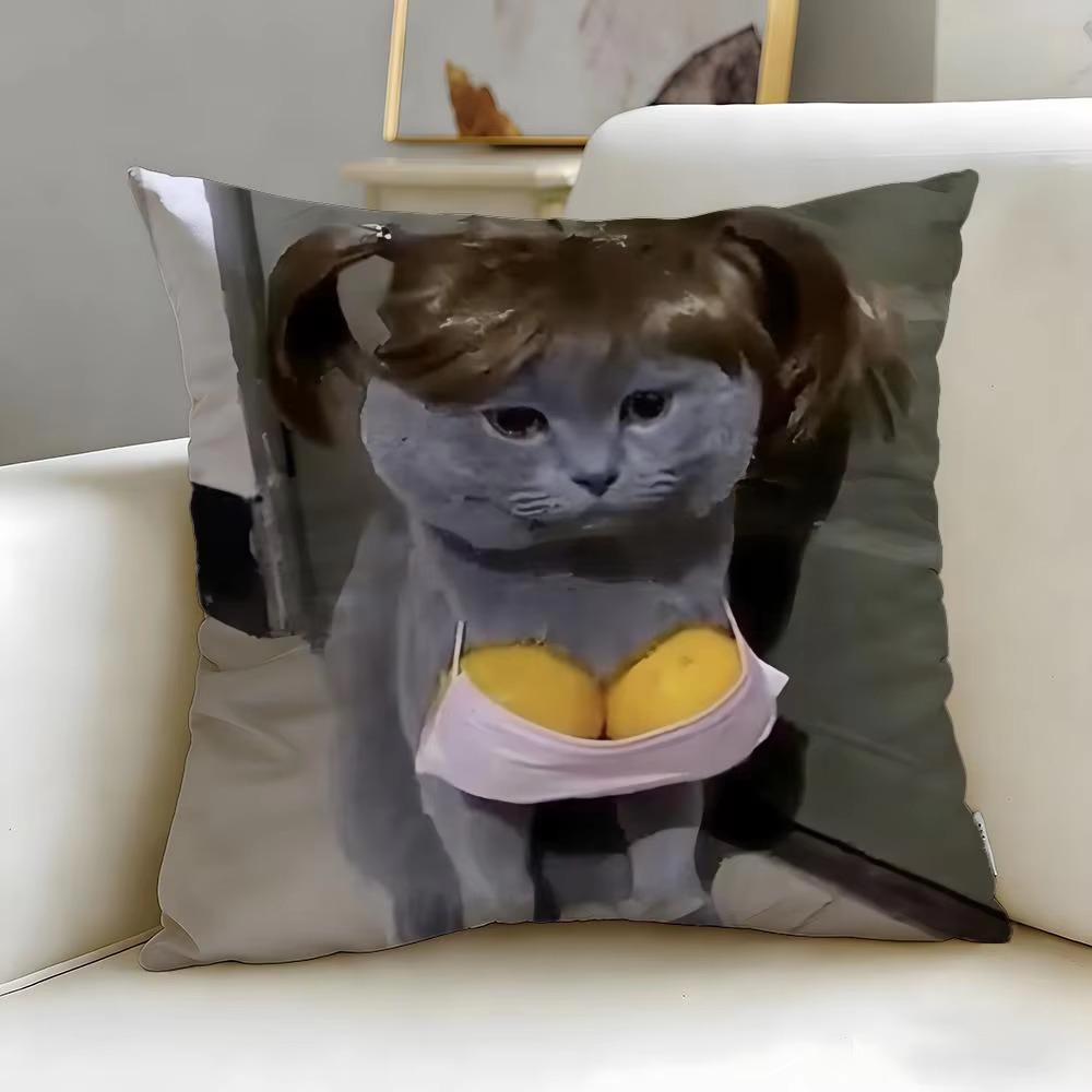 Double Sided Funny Cat Meme Throw Pillow Cover, Soft Short Plush Polyester Cushion for Sofa Bedroom Home Decor Gift