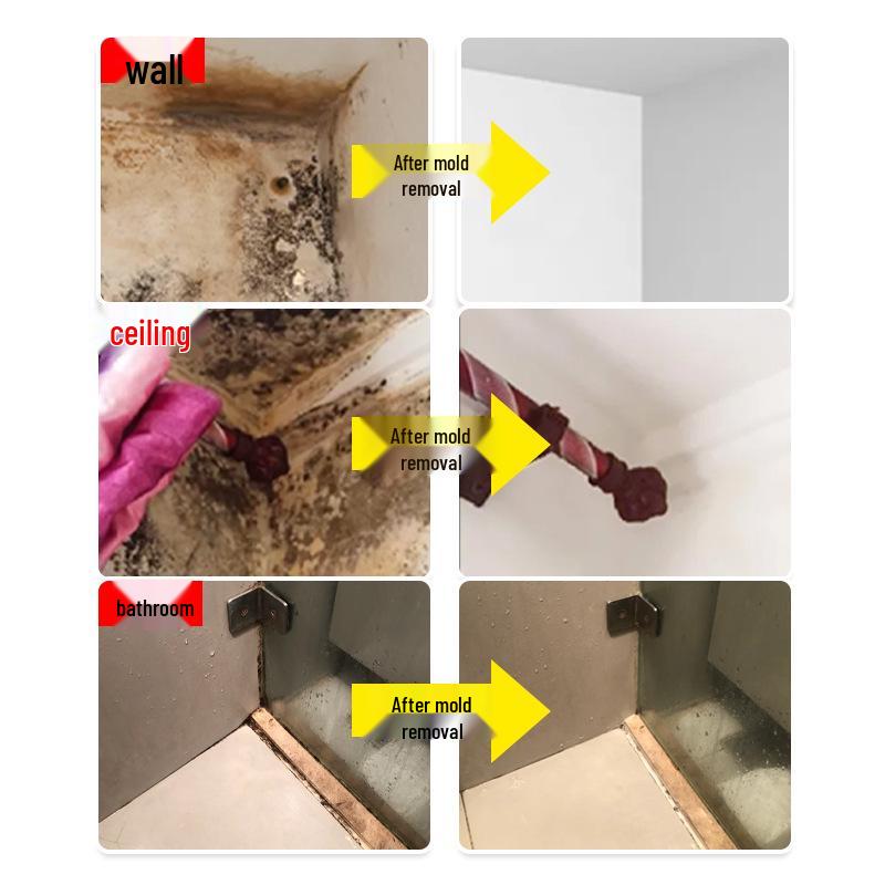 Mold & Mildew Remover Spray for Walls and Tiles