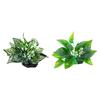Aquariums Landscape Grass Resins Aquariums Decorations Art Crafts Terrarium Habitat Ornaments Photo Props