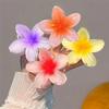 Hårklämmor - SHOP-STORY - FLOWHAIR - Set om 4 - Halkfria - Hawaiianska Blommor - Starka Färger