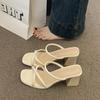 French niche thick heel cool slippers outside fairy shoes in the summer of 2025 new thin strap middle heel with skirt sandals