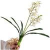Stelo Flessibile Orchidea Phalaenopsis Oggetti di Scena per Fotografia Stelo in Filo Flessibile Fogliame Realistico Costruzione in Plastica Steli Regolabili