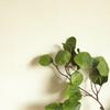 Blumen-Rundes-Kupfer-Blatt-Wanddekor: Rosen-Hochzeitsstrauß mit Kunstblumen - INS-Stil YC1044