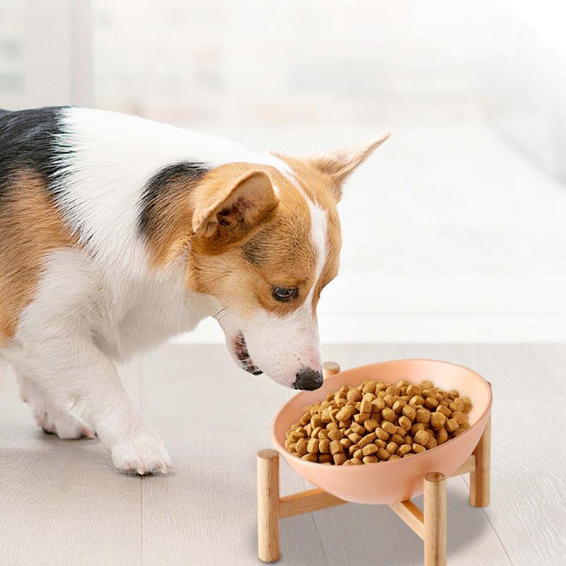 Raised Tilted Cat Bowl Spill Proof Ceramic Dog Dishes Anti Vomit Pet Bowl With Wood Stand Non Slip Dog Food Container For