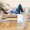 Small Bedroom Dehumidifier Household Indoor Dehumidification And Moisture Absorption Equipment Portable Basement Air Dryer