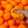 Quetschbare Orange Quetsch Fidget Spielzeug Kreativer Weicher Baustein Füllung Stressball Spielzeug ASMR Sensorisch Anti-Stress Spielzeug für Erwachsene