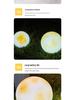 Solar-Powered Moon Lamp for Garden and Yard - Waterproof Decorative Outdoor Light