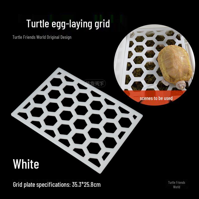 Turtle Egg-Laying Pond & Incubation Box with Basking Platform and Sand Pool