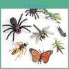 Jungle Rainforest Insect Butterfly Poison Spider Pvc Model Set With Realistic Wildlife Display For Nature Enthusiasts
