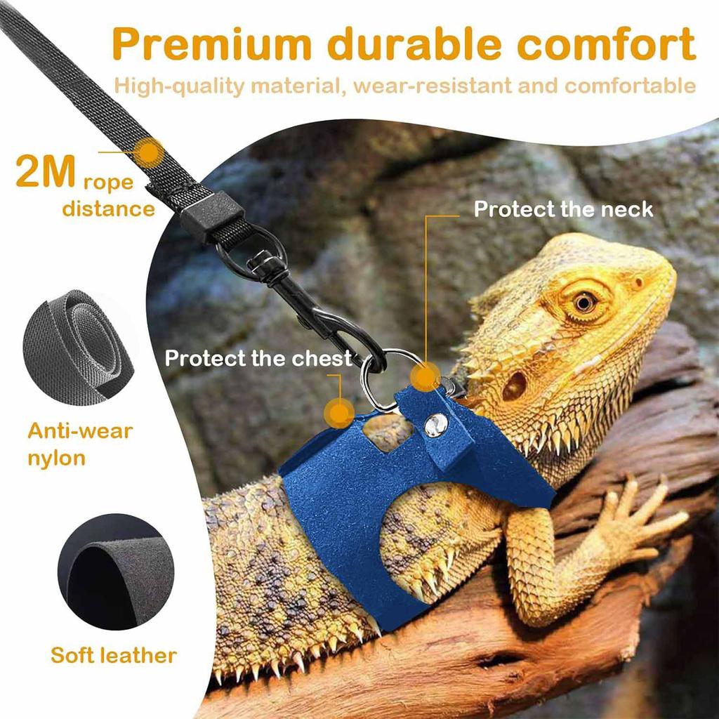 Bearded Dragon Adjustable Leather Harness & Leash Set